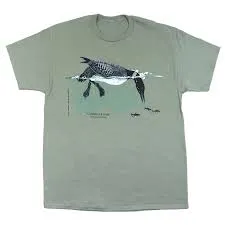 Feeding Loon Adult T-Shirt - Sage