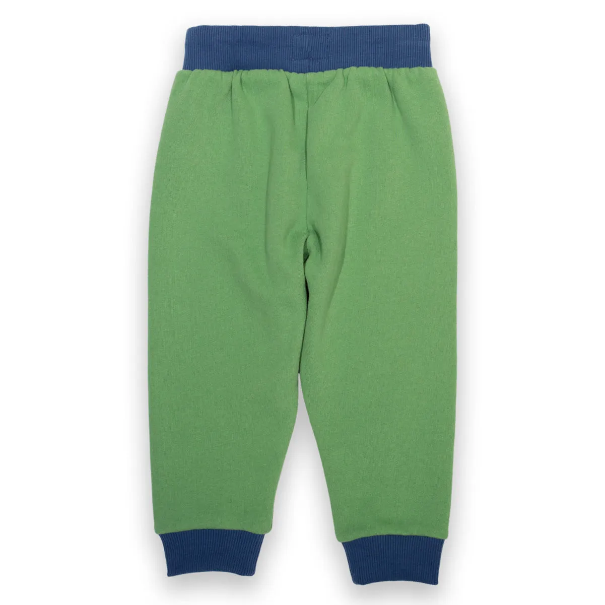 Knee patch joggers- fern