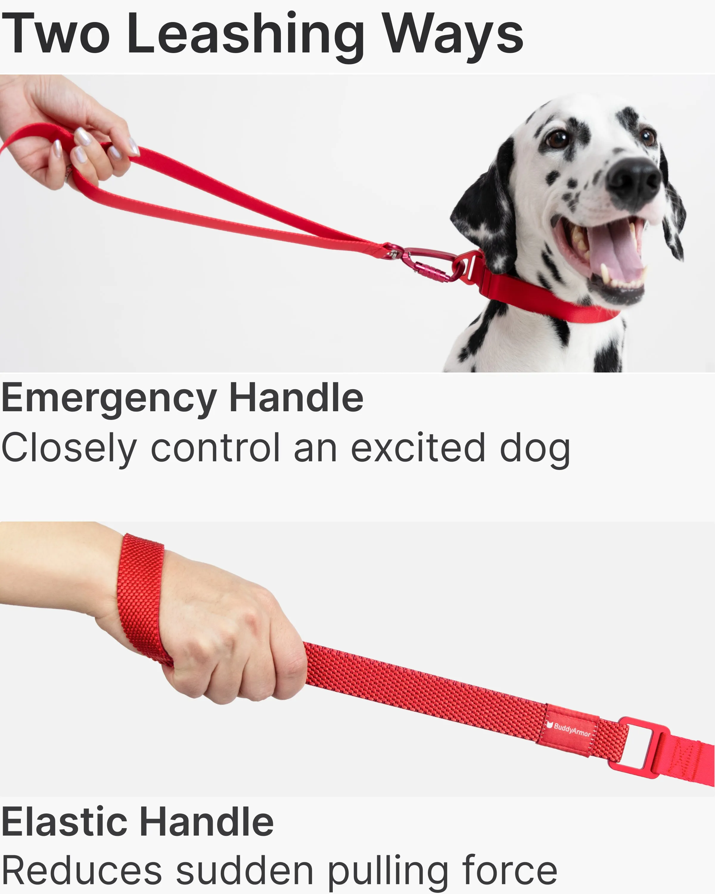 Light Alloy Leash