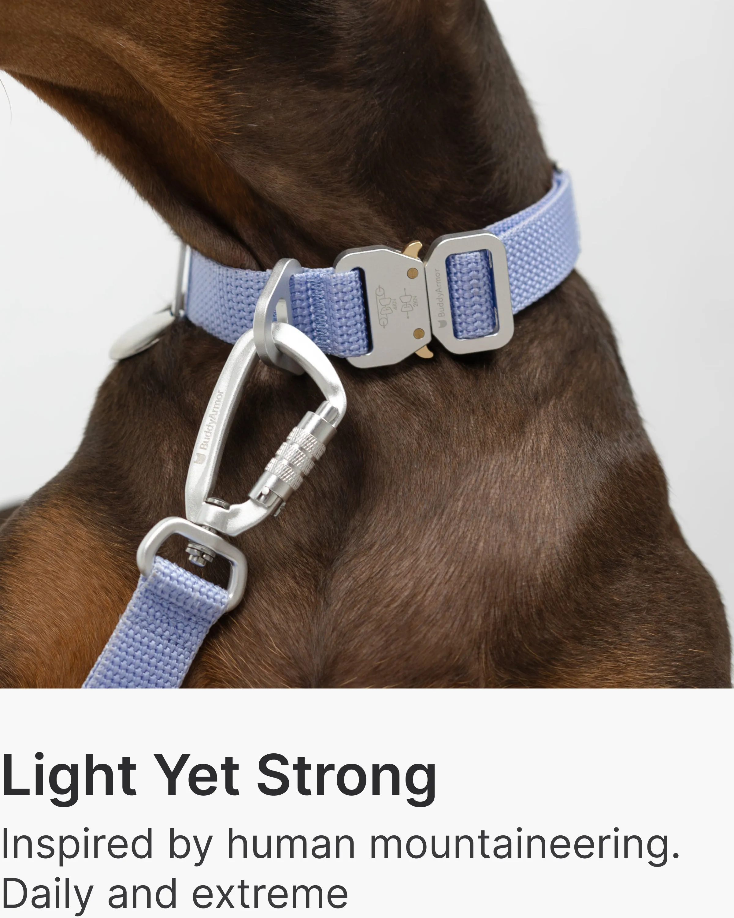 Light Alloy Leash