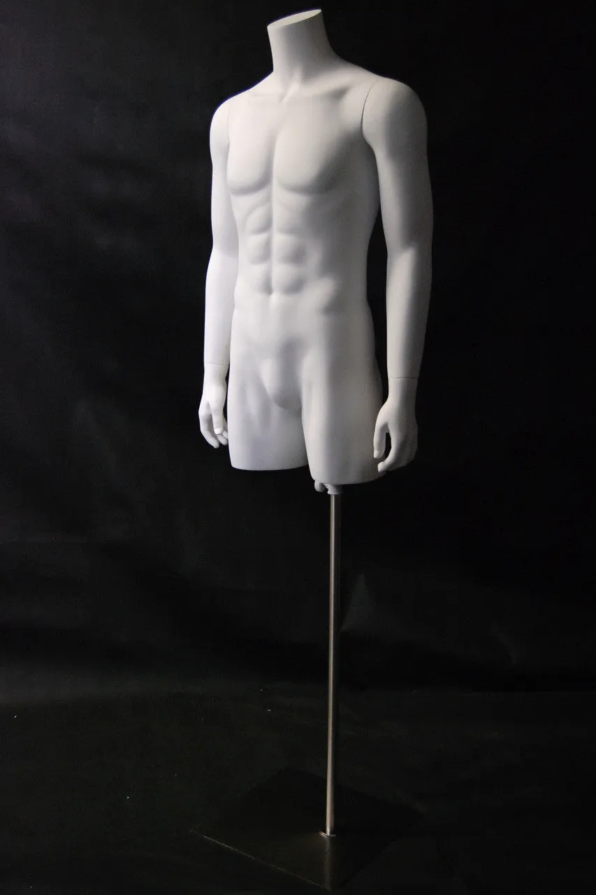 Male Torso w/ Base MM-RTMW (Glossy or Matte)